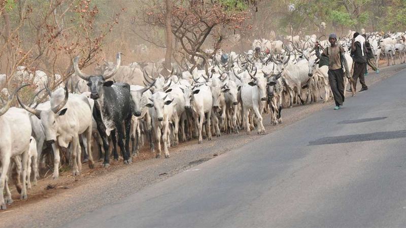 Benin Monarch Charges Governors' Forum On Herdsmen Killings