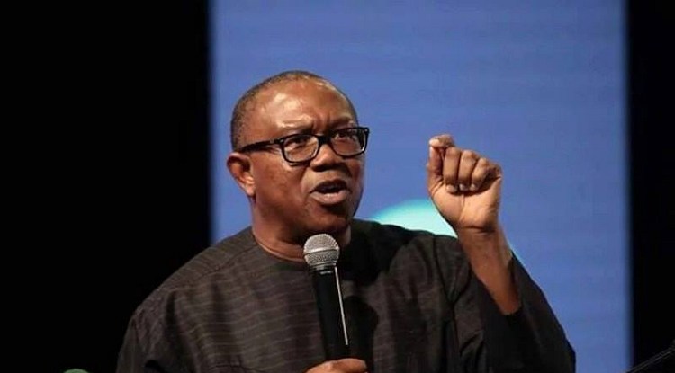 Atiku As Tested Entrepreneur, Can Fix The Economy-Obi