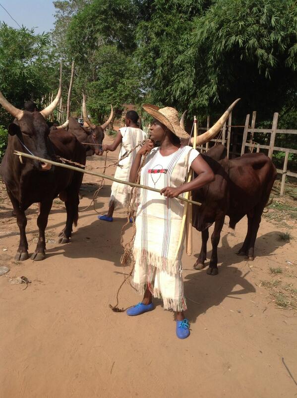 Two Day Closure Of Livestock Market In Enugu - Miyetti Allah