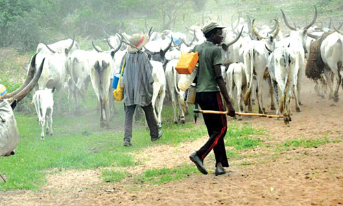 Herdsmen Kill Nollywood Actor In Kwara