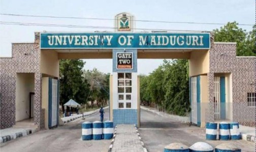 UNIMAID Reacts Over Killing Of 30 Persons, Including Students In Borno