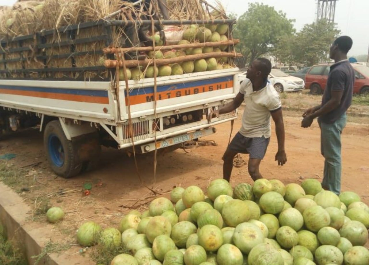 400 Bags Of Smuggled Rice Concealed Under Water Melons Intercepted In Kebbi