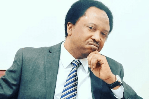 Stop Talking Before They Come For You – Shehu Sani Warns Sultan Of Sokoto