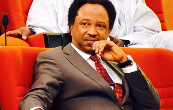 Shehu Sani Reacts Over Killing Of Aid Worker By Boko Haram