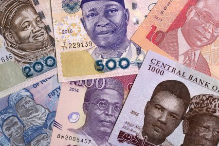 Naira Plunges Further, Exchanges For N460