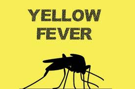 Yellow Fever Claims 8 Lives In Bauchi